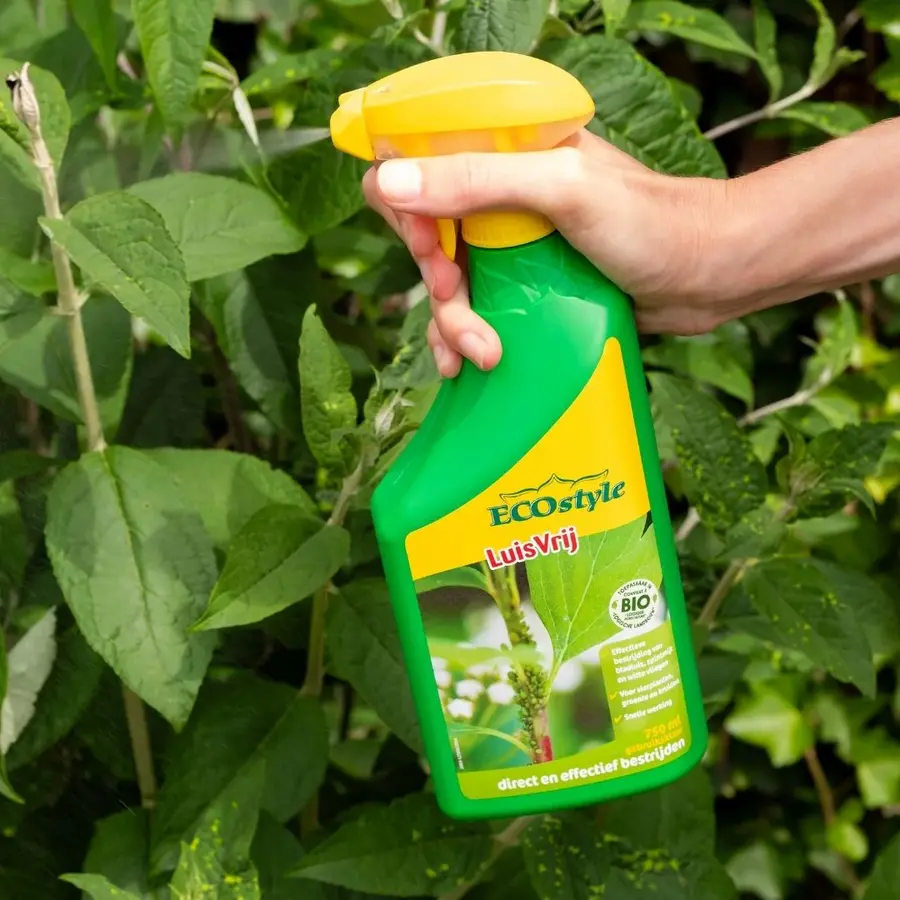 LuisVrij spray - plantaardig middel voor bestrijding van bladluis, spint en witte vlieg op sier-, groente- en fruitplanten