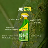 LuisVrij spray - plantaardig middel voor bestrijding van bladluis, spint en witte vlieg op sier-, groente- en fruitplanten