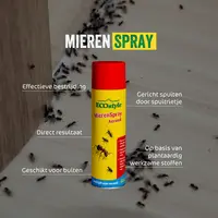 MierenSpray - effectieve spray met plantaardige stoffen tegen mieren in nest en omgeving