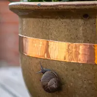 SlakVrij koperband - effectief en langdurig middel om slakken uit potten, bakken en bomen te weren