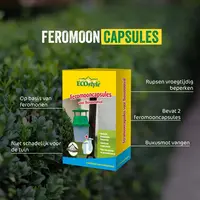 Feromooncapsules buxusmotval - navulling lokstof voor natuurlijke bestrijding van de buxusmot, 2 stuks