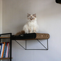 Kartonnen Wandplank DAVID – multifunctionele kattenwandplank van golfkarton met metalen houder – verkrijgbaar in S (30 × 29 × 24 cm) en L (60 × 29 × 24 cm)