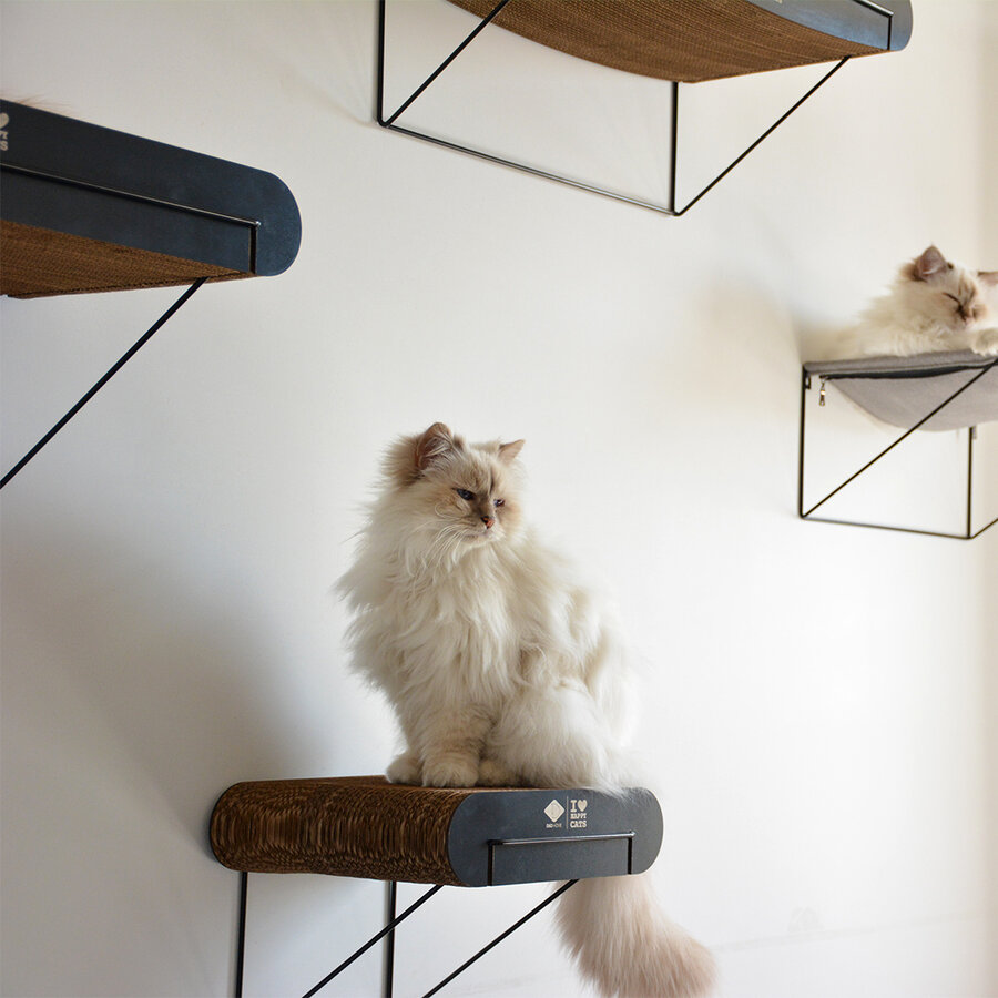 Kartonnen Wandplank DAVID – multifunctionele kattenwandplank van golfkarton met metalen houder – verkrijgbaar in S (30 × 29 × 24 cm) en L (60 × 29 × 24 cm)