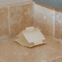 Zilvervisval - geur- en gifloze lijmval met lokstof tegen zilvervisjes en andere kruipende insecten