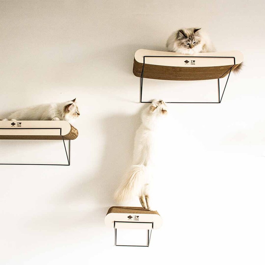 Gebogen Kartonnen Wandplank