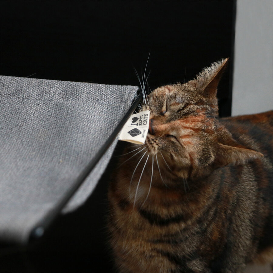 Bed- en radiatorhangmat "Bed- en Radiatorhangmat Oliver – multifunctionele kattenhangmat voor radiator of boxspring, 45 cm" | 45x35x10cm