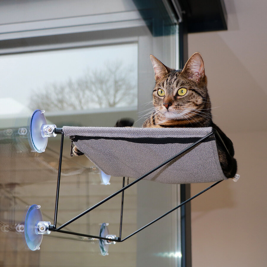 Raamhangmat Olivia – moderne kattenhangmat voor ramen met metalen frame en interieurstof, 45 cm