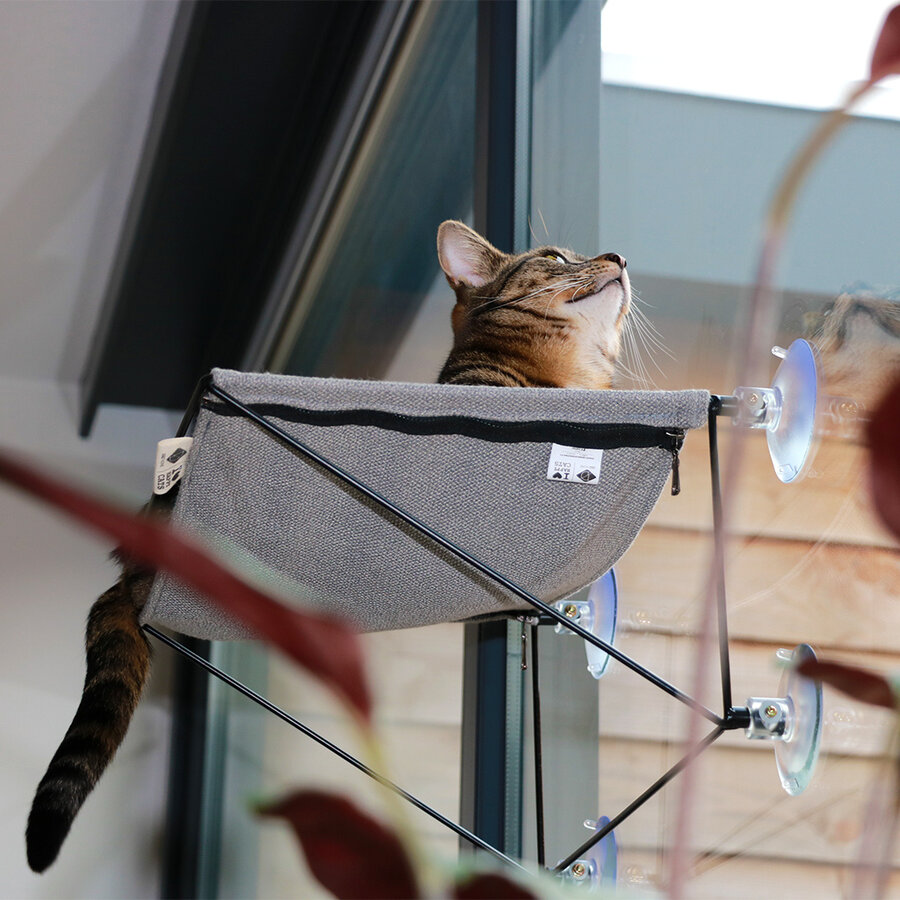 Raamhangmat Olivia – moderne kattenhangmat voor ramen met metalen frame en interieurstof, 45 cm