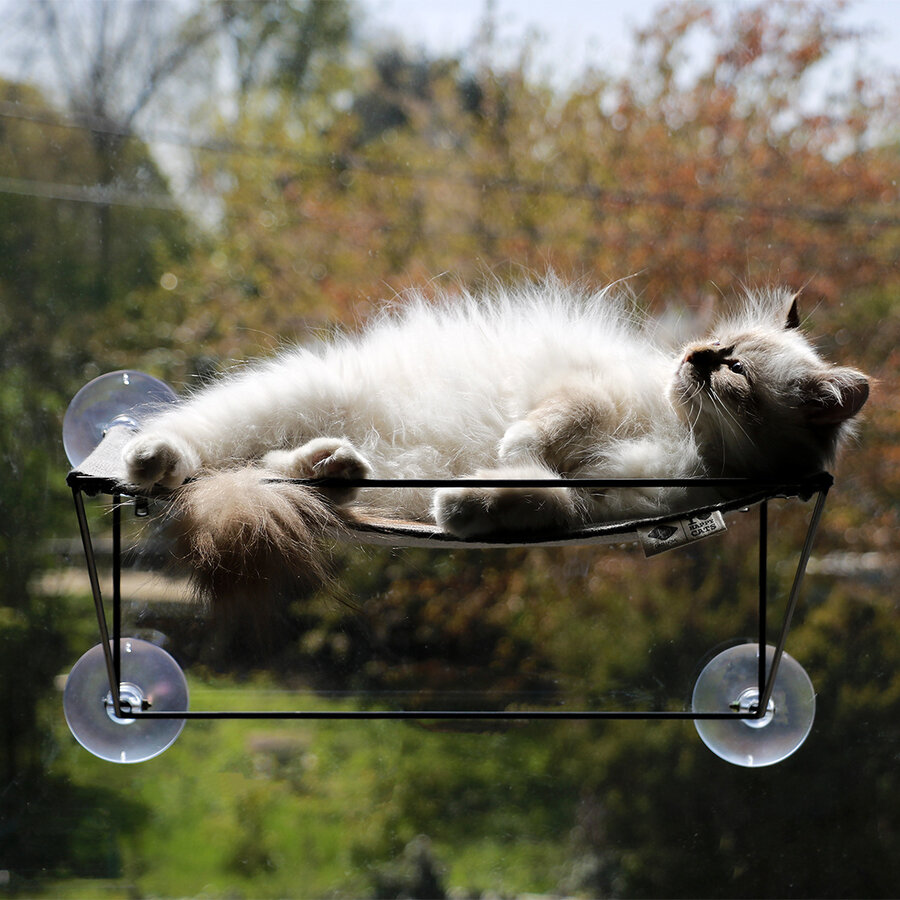 Raamhangmat Olivia – moderne kattenhangmat voor ramen met metalen frame en interieurstof, 45 cm