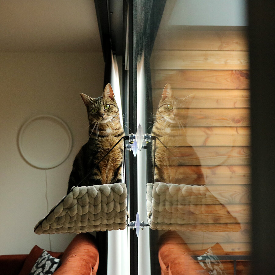 Vensterbed Sofia – Dutch Design kattenbed voor ramen met metalen frame en zuignappen, 46 cm