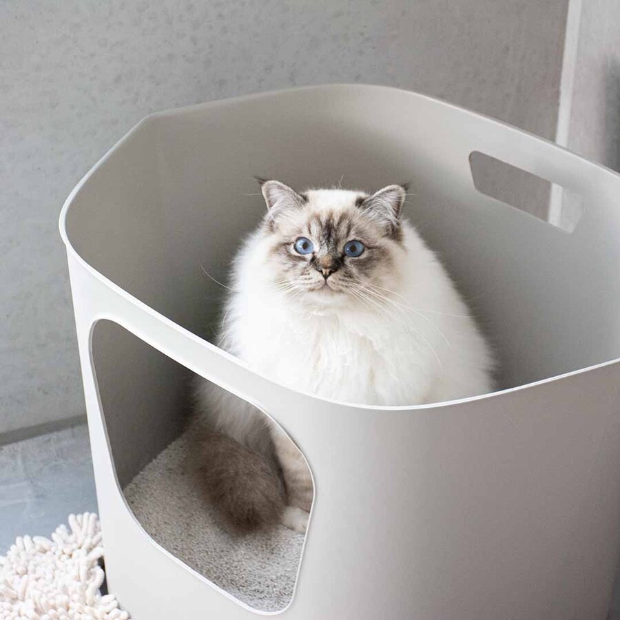 Open kattenbak van gerecycled plastic met hoge randen en vooringang zwart of grijs