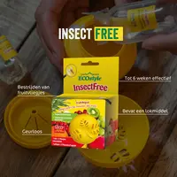 Fruitvliegval met lokstof - navulbare, geurloze val tegen fruitvliegjes tot 6 weken werkzaam