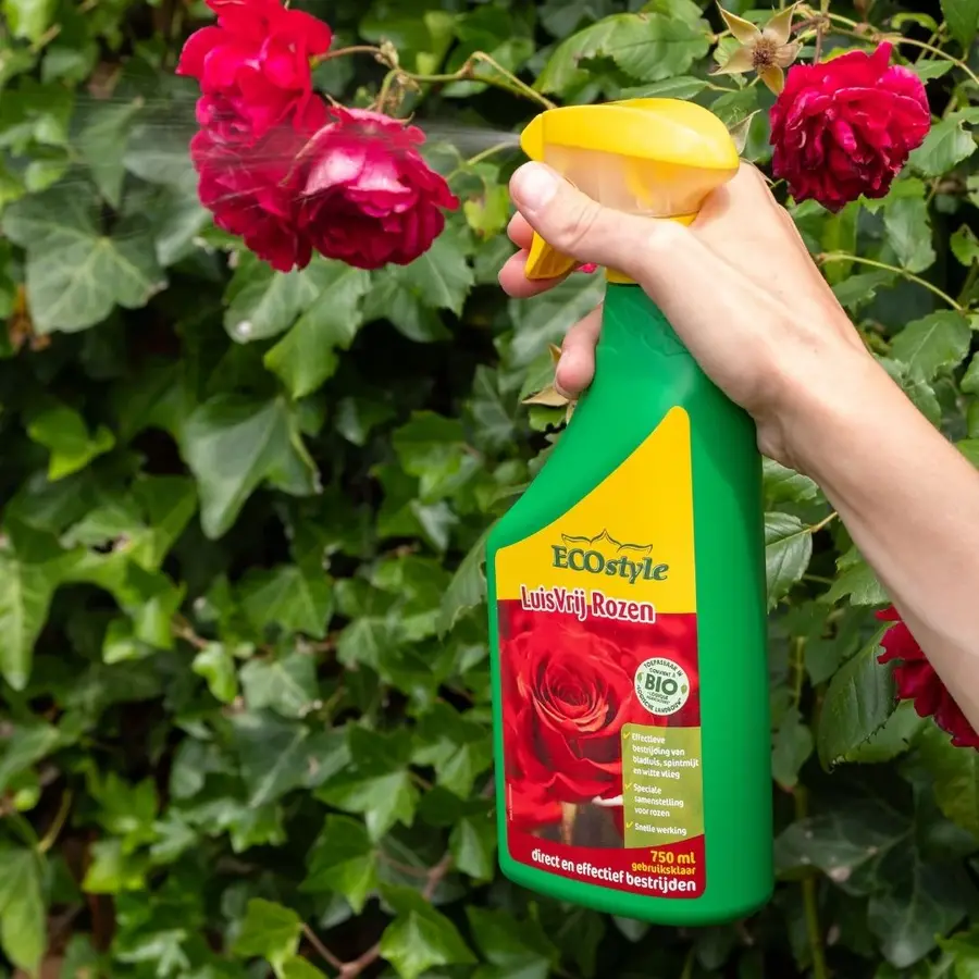 LuisVrij Rozen - Effectieve gewasbescherming tegen bladluis, spint en witte vlieg op rozen