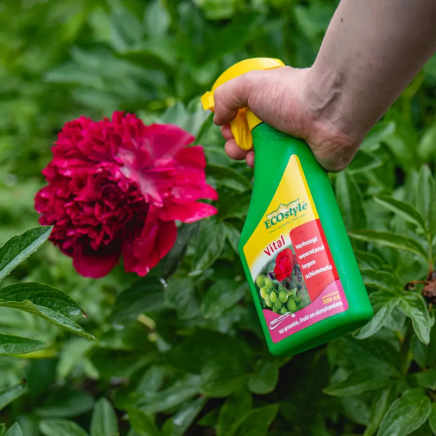 Plant Vitaal - Biostimulant met zeewierextract voor weerbare en sterke planten