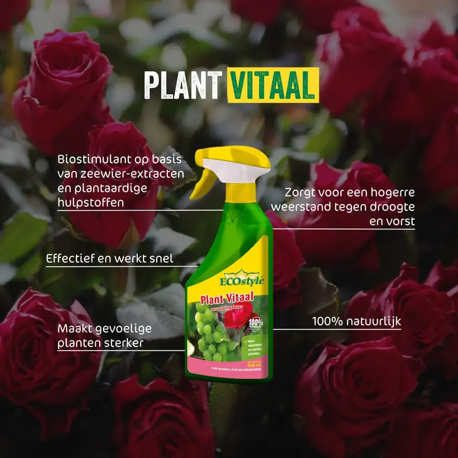 Plant Vitaal - Biostimulant met zeewierextract voor weerbare en sterke planten