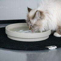 Keramische ACE drinkkom – lage brede kattenkom, voorkomt snorhaarstress – maten L (850 ml) & XL (1250 ml)