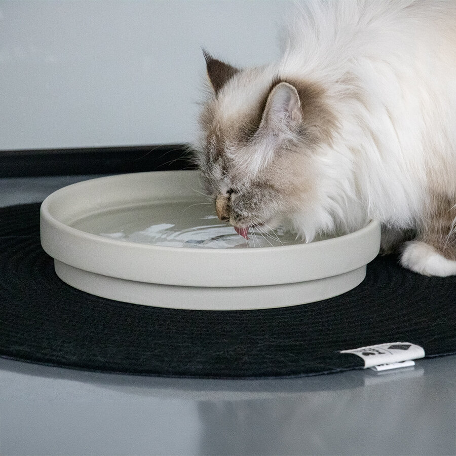 Keramische ACE drinkkom – lage brede kattenkom, voorkomt snorhaarstress – maten L (850 ml) & XL (1250 ml)