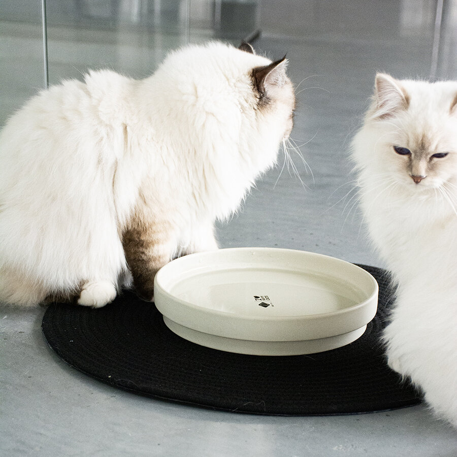 Keramische ACE drinkkom – lage brede kattenkom, voorkomt snorhaarstress – maten L (850 ml) & XL (1250 ml)