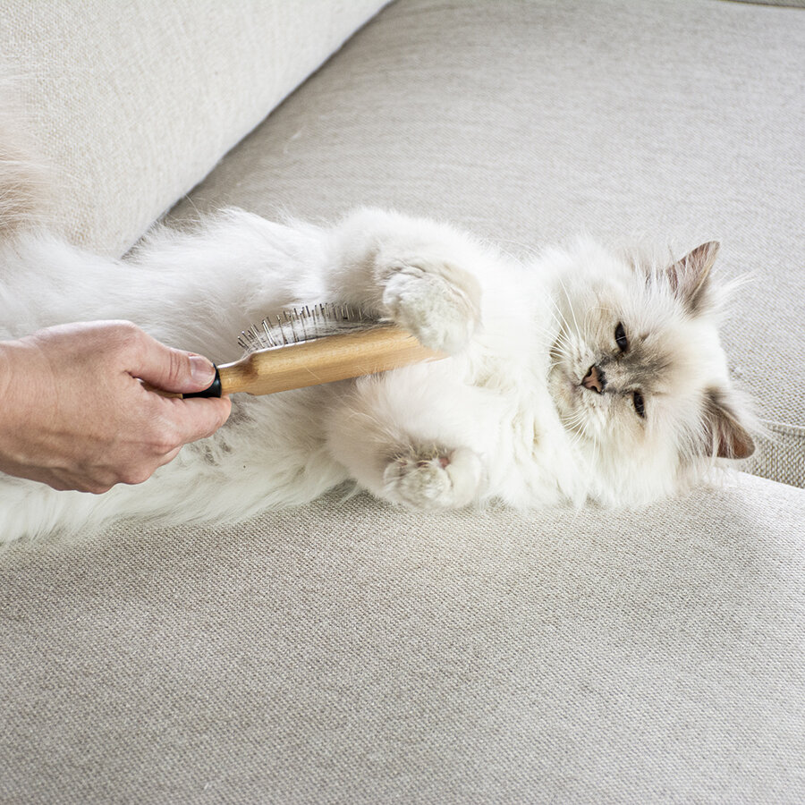 Professionele pinnenborstel APRIL voor katten – beukenhouten handvat en roestvrije pinnen