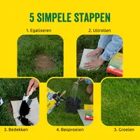 SowEazy Graszaad Inzaairol 10 m2 - Snel en makkelijk een dicht en groen gazon aanleggen
