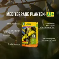 Mediterrane planten-AZ+ - Organische mest met micro-organismen voor citrus, vijgen, olijven en andere Mediterrane planten