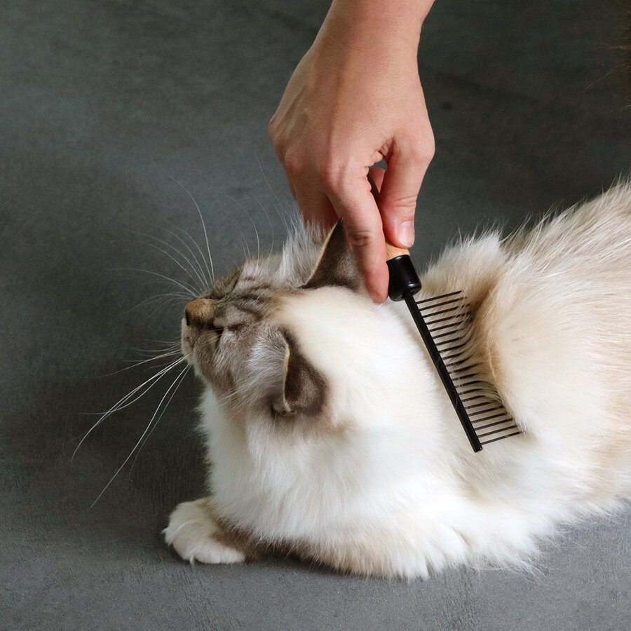 Professionele kattenkam ADAM – ergonomisch FSC beukenhouten handvat