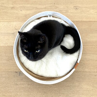 Kattenmand RYAN van papiertouw – met kussen, 38×38×12 cm, natuurlijke uitstraling