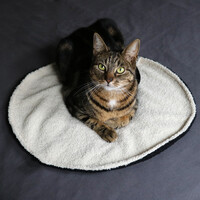 Rond katten dekentje MAEVE – dubbelzijdig zwart/wit van zachte teddystof, 50 cm
