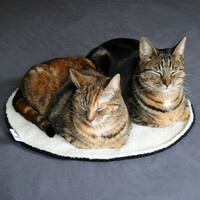 Rond katten dekentje MAEVE – dubbelzijdig zwart/wit van zachte teddystof, 50 cm