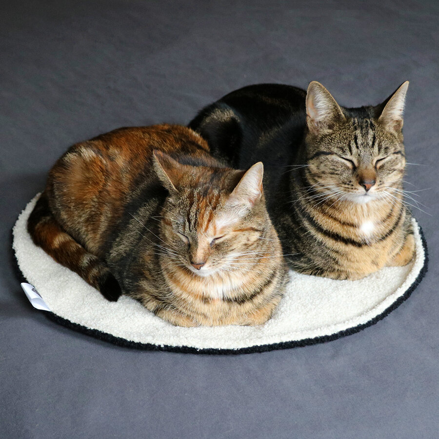 Rond katten dekentje MAEVE – dubbelzijdig zwart/wit van zachte teddystof, 50 cm