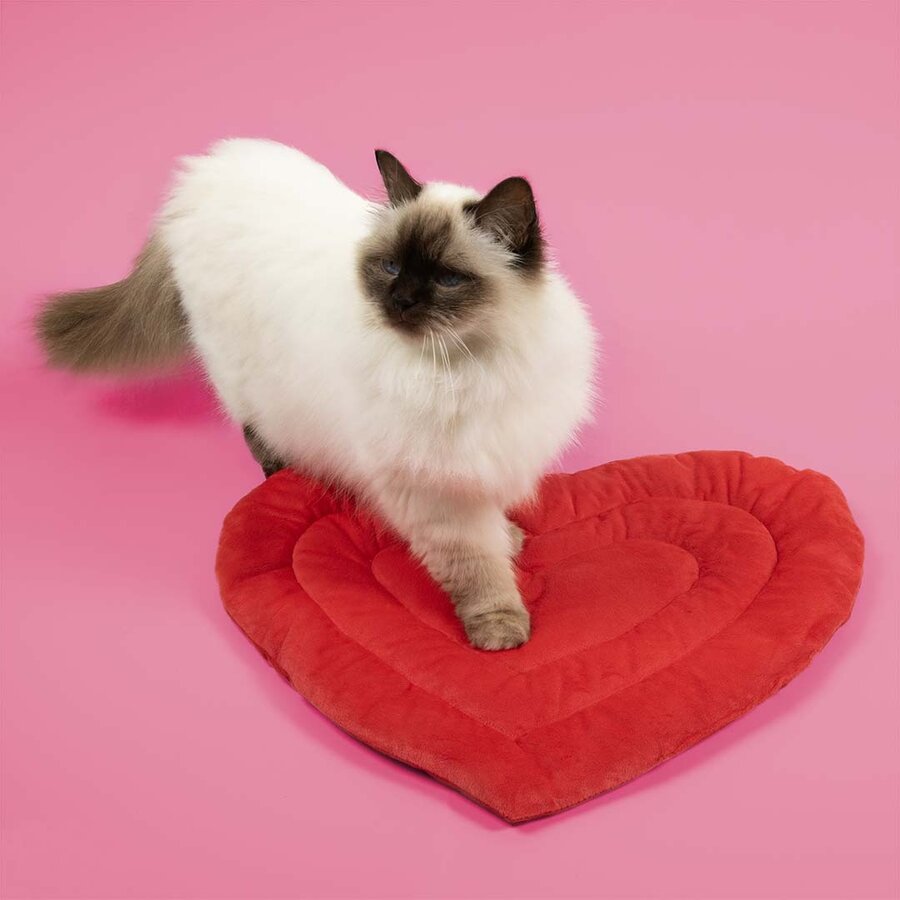 Plaid Be Mine – rood hartvormig velours dekentje voor katten, 50x45 cm