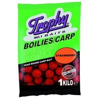 Boilies Strawberry 1KG - natuurlijke smaken met langdurige aantrekkingskracht voor karpers