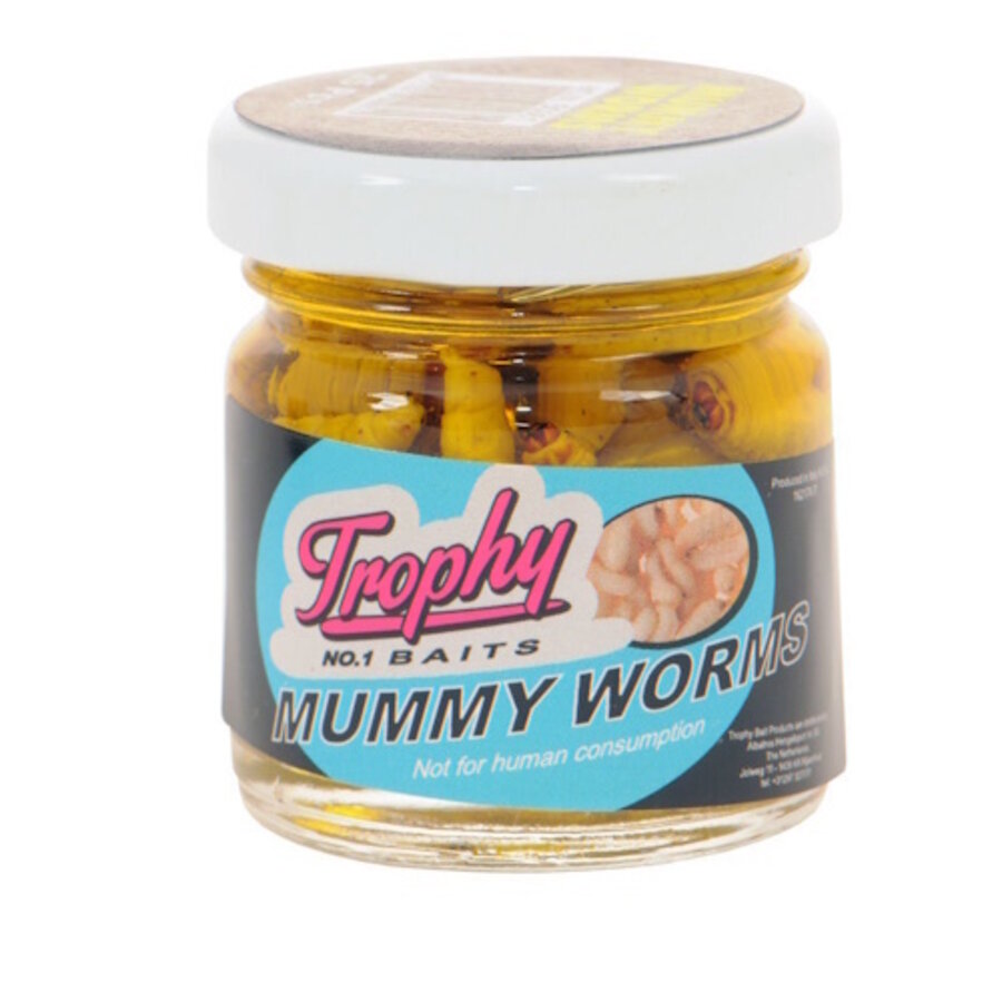 Mummy Worms geconserveerde wasmotten - verkrijgbaar in White, Yellow, Red, Green en Orange (25 stuks)