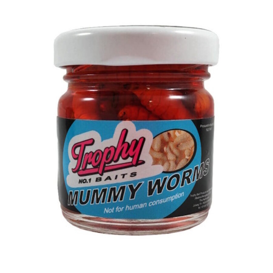 Mummy Worms geconserveerde wasmotten - verkrijgbaar in White, Yellow, Red, Green en Orange (25 stuks)