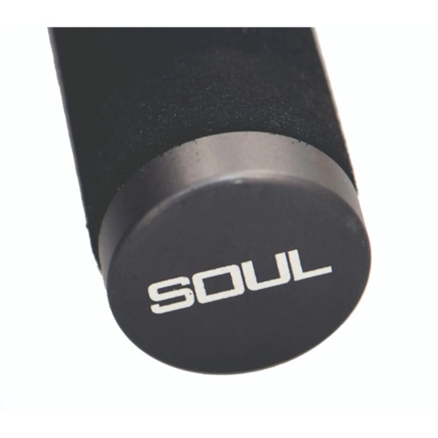 Nero The Ace karperhengel 12FT 3.00LB - high modulus carbon met KW SIC geleideogen