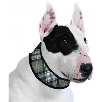 Halsband L Scottish Grey