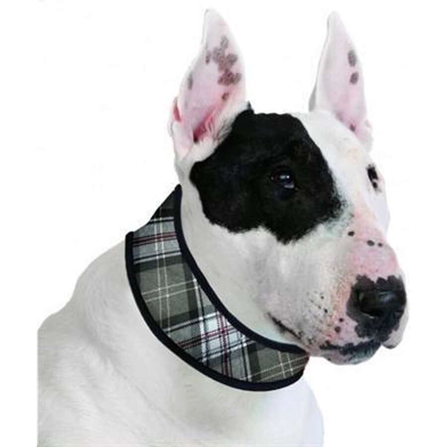 Halsband L Scottish Grey