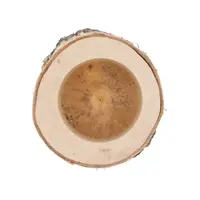 Nature Berkenhouten Pot Ø13-15 cm x 11 cm - natuurlijke plantenhouder of terrariumdecoratie