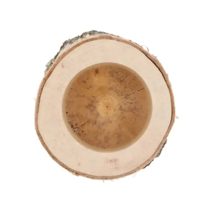 Berkenhouten pot Ø13-15 cm x 11 cm | natuurlijke plantenhouder en terrariumdecoratie