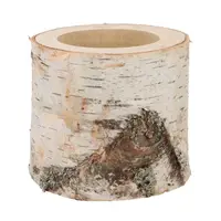 Nature Berkenhouten Pot Ø13-15 cm x 11 cm - natuurlijke plantenhouder of terrariumdecoratie