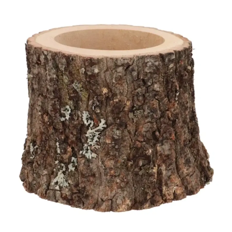 Eikenhouten plantenpot Ø13-15 cm | hoogte 11 cm | terrarium en decoratie