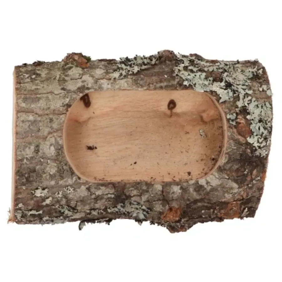 Nature Oak Planter - natuurlijke eikenhouten plantenhouder voor terrarium of interieur