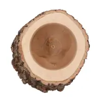 Nature Oak Pot D16–19cm x 15cm - natuurlijke plantenhouder van echt eikenhout voor terrariums en woondecoratie
