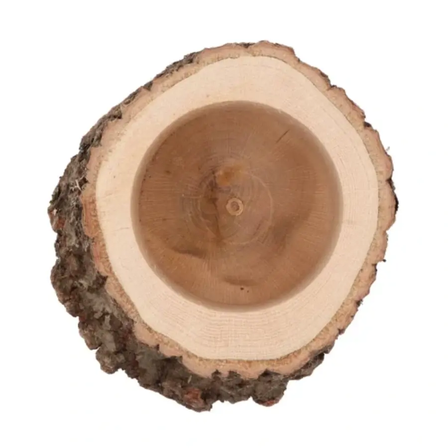 Nature Oak Pot D16–19cm x 15cm - natuurlijke plantenhouder van echt eikenhout voor terrariums en woondecoratie