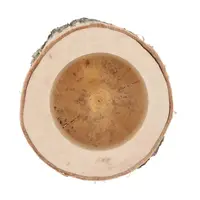 Berkenhouten plantenhouder Ø16–19 cm | hoogte 15 cm | voor terrarium en interieur