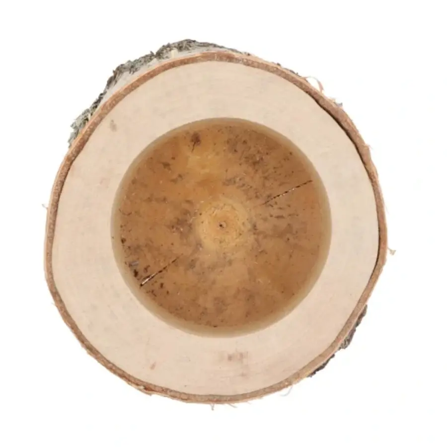 Berkenhouten plantenhouder Ø16–19 cm | hoogte 15 cm | voor terrarium en interieur