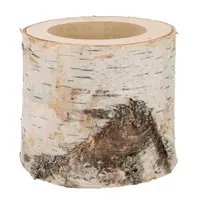 Nature Birch Pot D16–19cm x 15cm - natuurlijke plantenhouder van echt berkenhout voor terrariums en woondecoratie