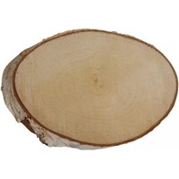 Berkenschijf ovaal 19-25 cm | natuurlijke decoratieschijf voor terrarium en interieur