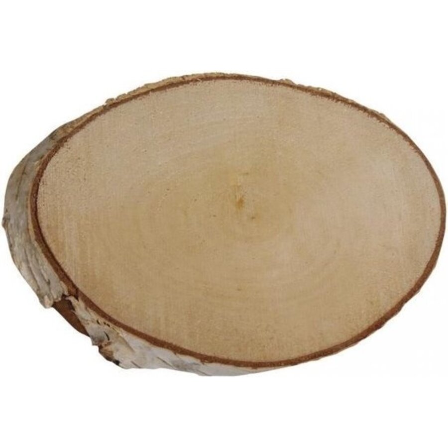 Berkenschijf ovaal 19 tot 25 cm - natuurlijke decoratie voor terrarium of interieur