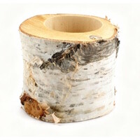 Berkenhouten schors pot Ø10 cm x 10 cm | decoratieve plantenhouder voor terrarium en interieur